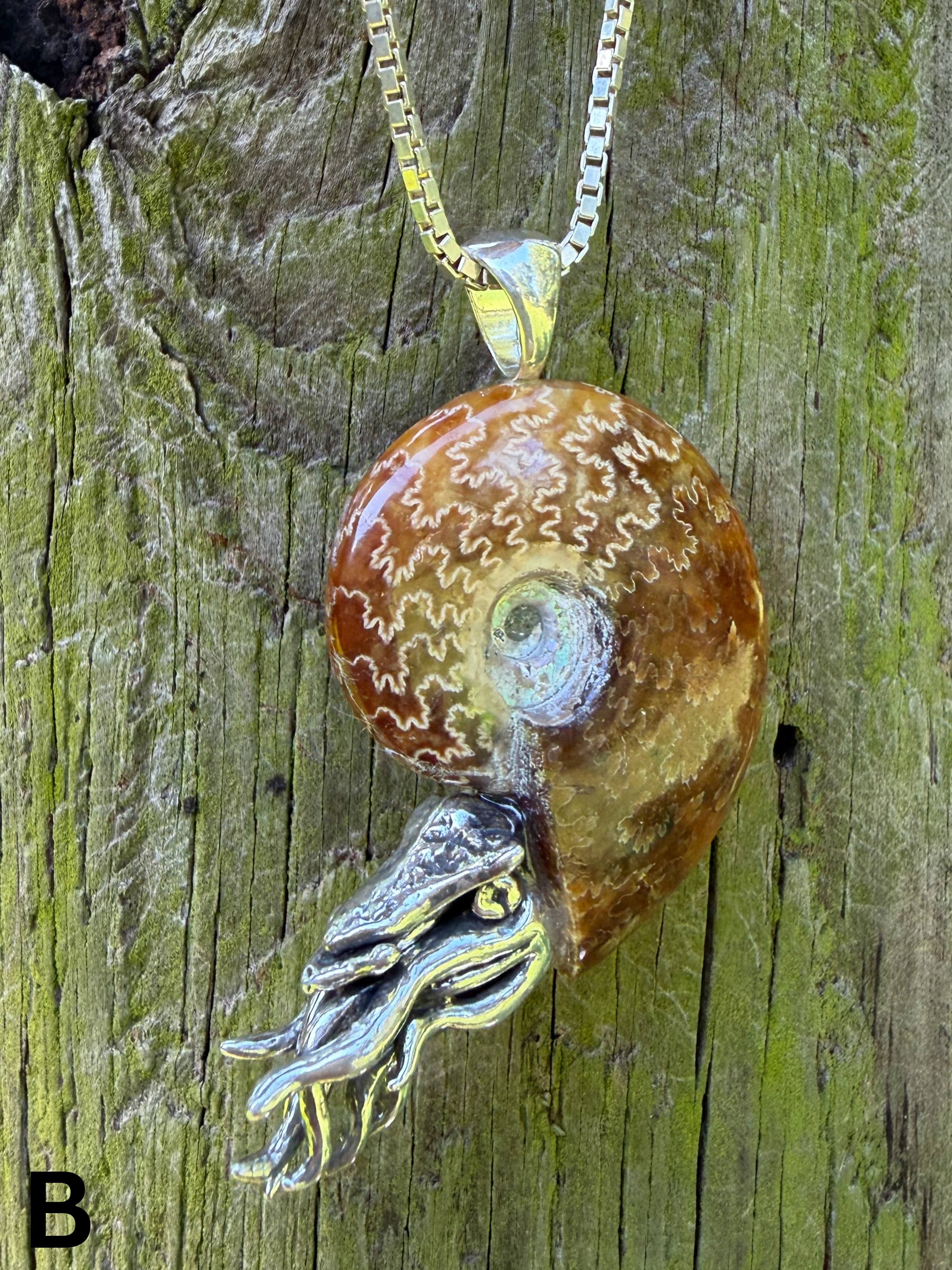 Fossilized Ammonite Nautilus Necklace with Jade Pattern - Sterling Silver