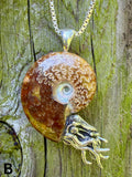 Fossilized Ammonite Nautilus Necklace with Jade Pattern - Sterling Silver