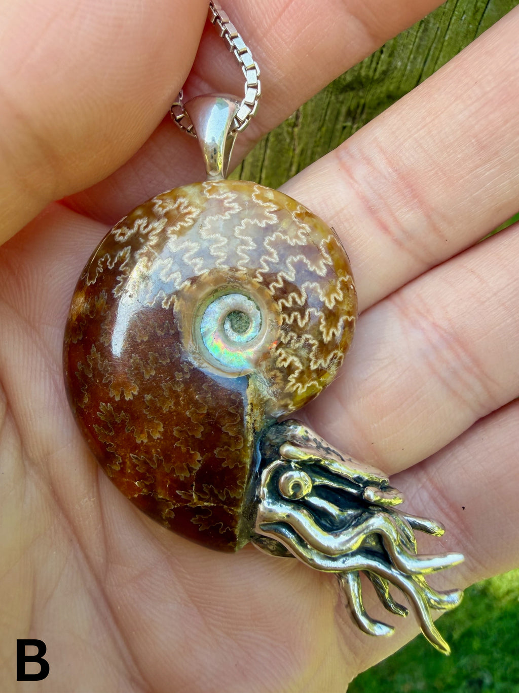 Fossilized Ammonite Nautilus Necklace with Jade Pattern - Sterling Silver