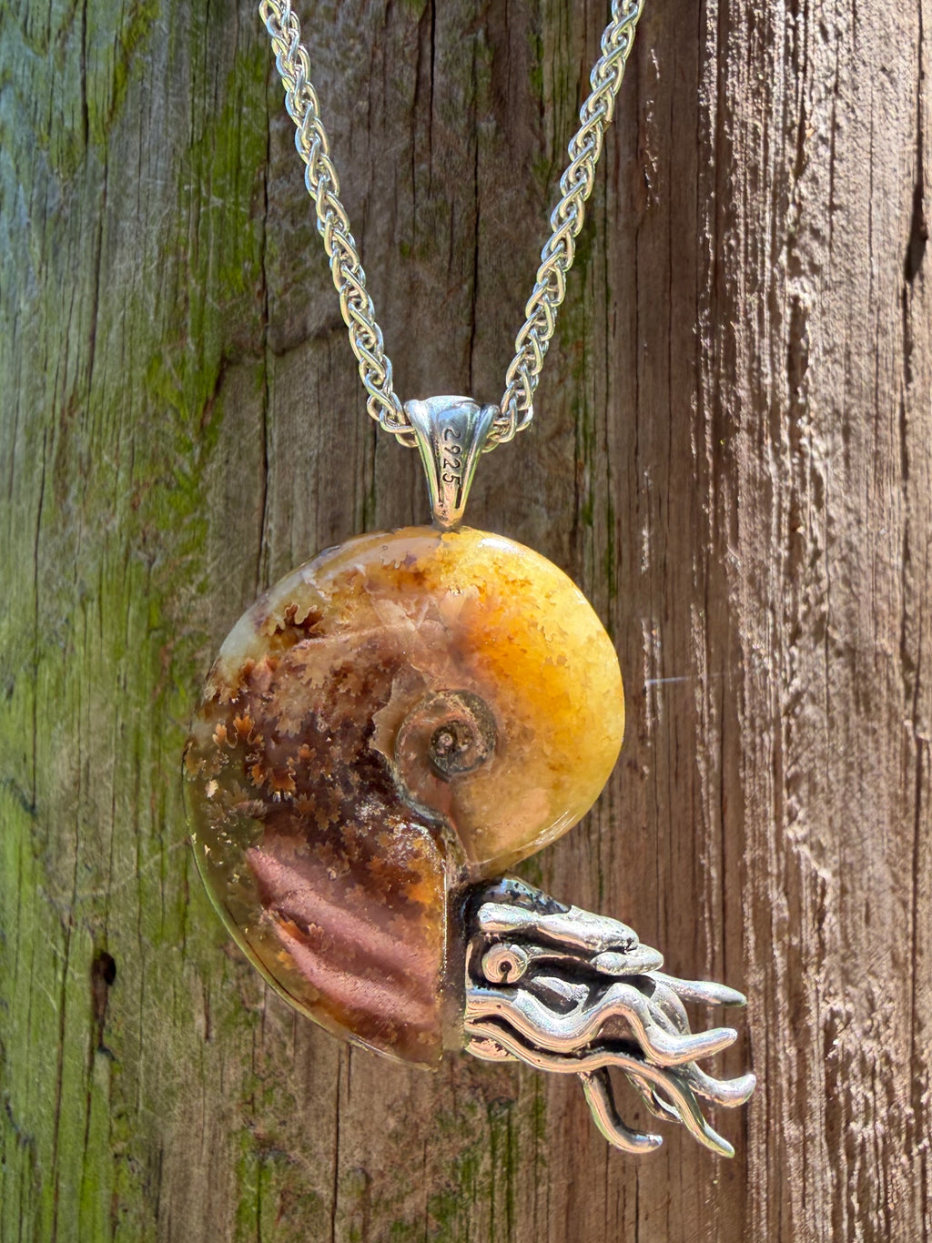 Fossilized Ammonite Nautilus Necklace Mexican Fire Opal - Sterling Silver