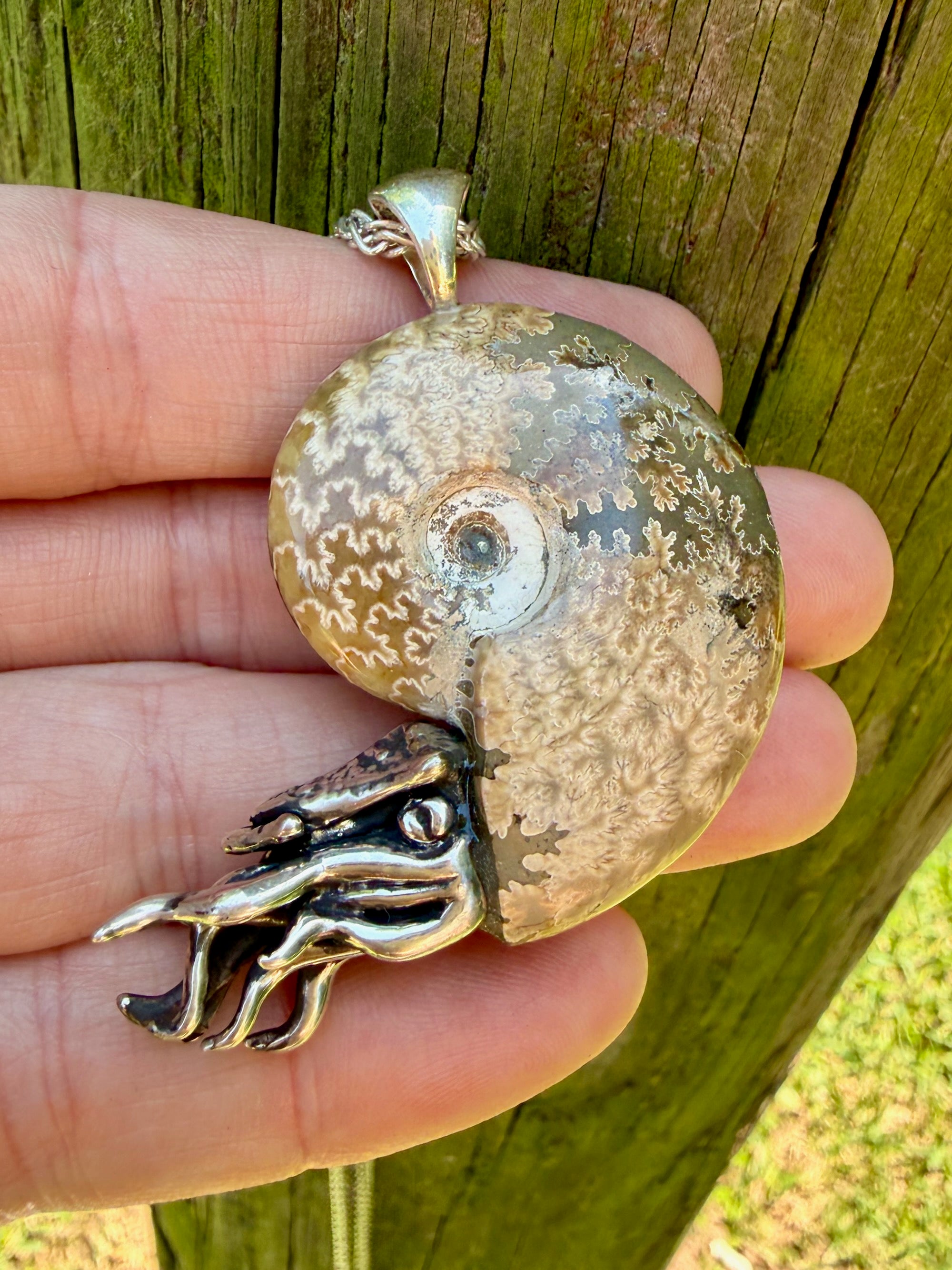 Fossilized Ammonite Nautilus Pendant with Blue Topaz - Sterling Silver