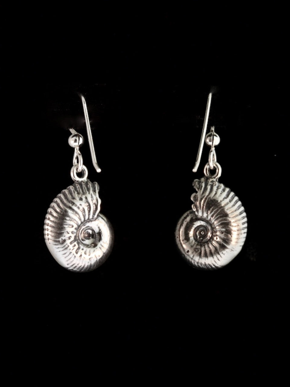 Ammonite Earrings - Life Casting - Sterling Silver