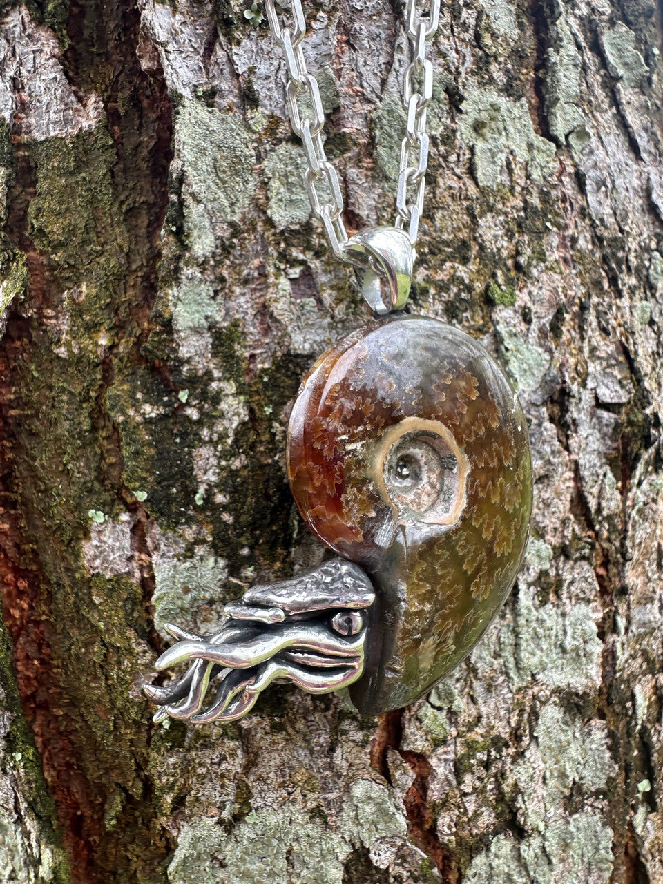 Fossilized Ammonite Nautilus Pendant with Chrome Diopside