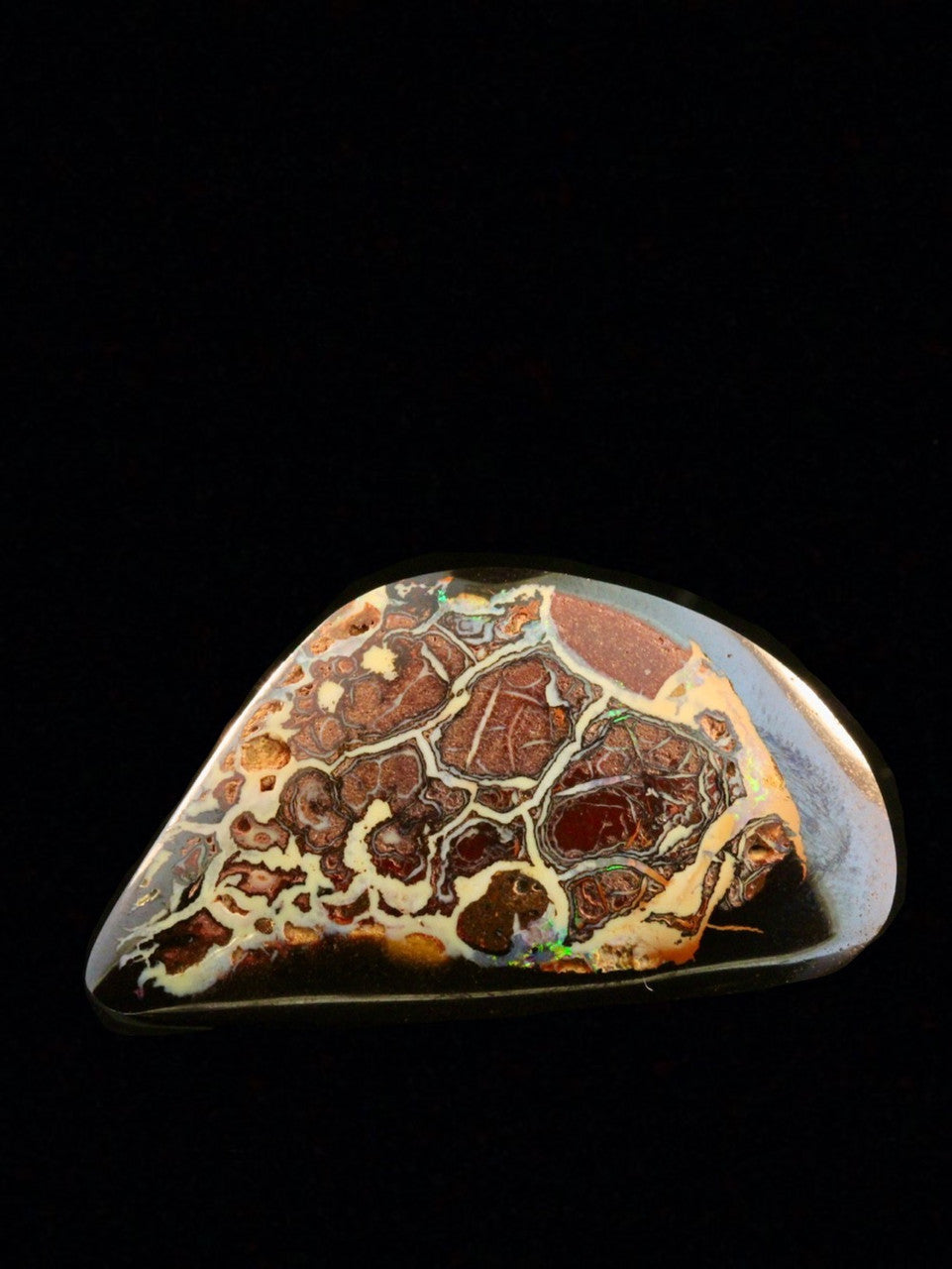 Shrapnel - Australian Koroit Opal - 50.5 ct