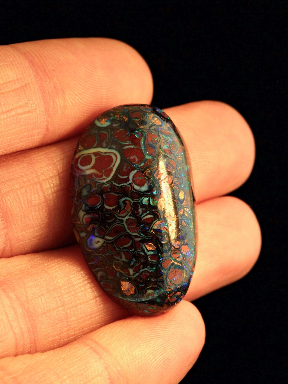 Tortuga - Australian Koroit Boulder Opal - 45 ct