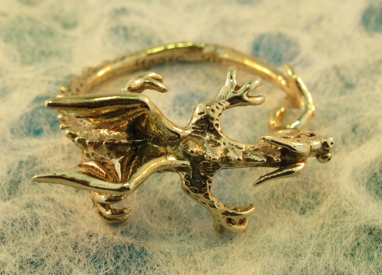 Dragon Whisperer Ear Cuff Hoop in Bronze