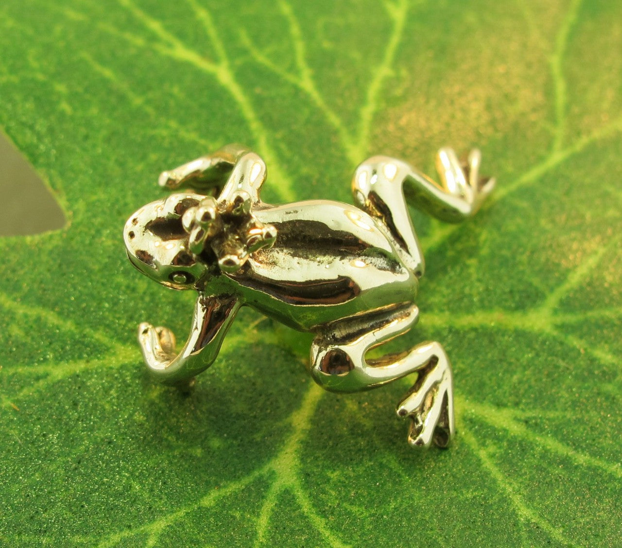 Frog Prince Ear Cuff - Bronze