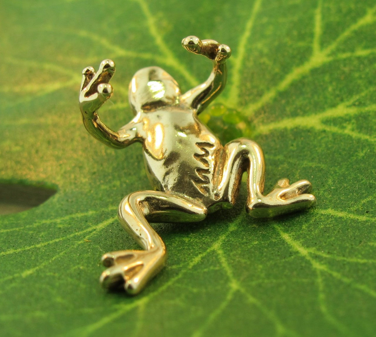 Frog Prince Ear Cuff - Bronze