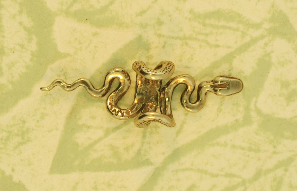 Bronze Snake Ear Cuff