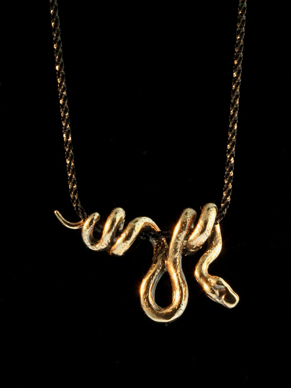 Vine Snake Pendant - Bronze