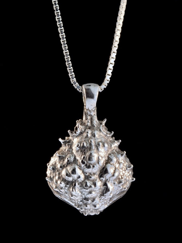 Life Casting Hidden Gemstone Crab Carapace in Silver