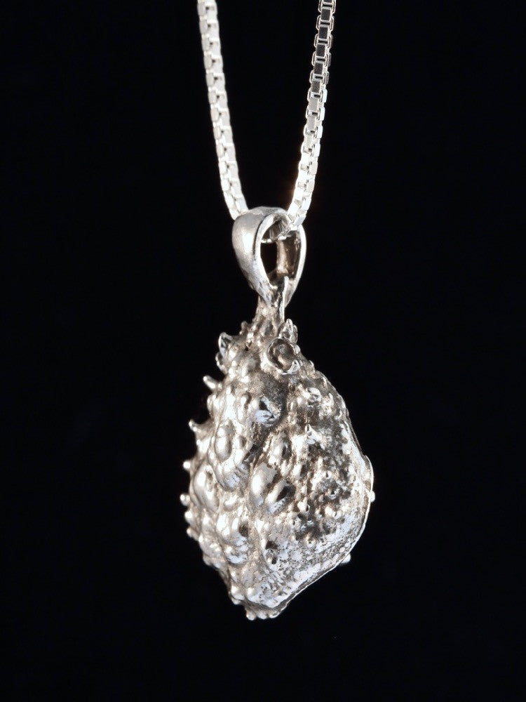 Life Casting Hidden Gemstone Crab Carapace in Silver