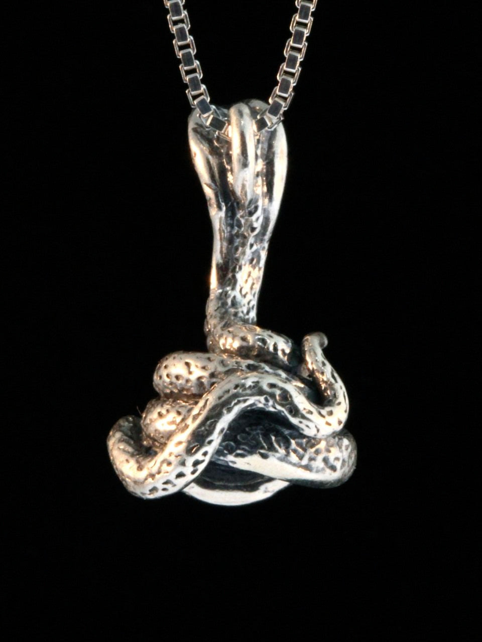 Coiled Cobra Charm -Silver