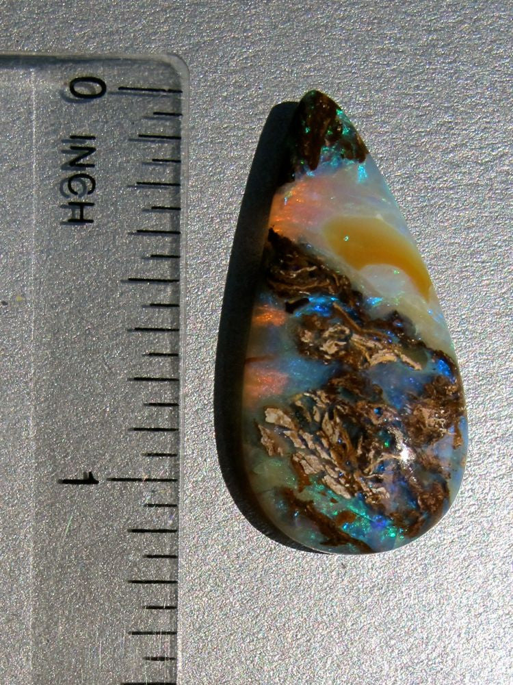 Coral Reef- Australian Boulder Opal, 12.5