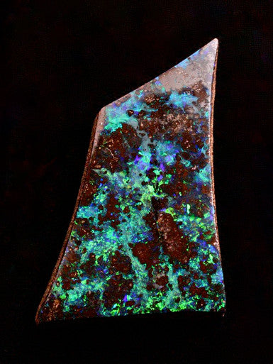 Cosmos - Australian Boulder Opal - 25 ct