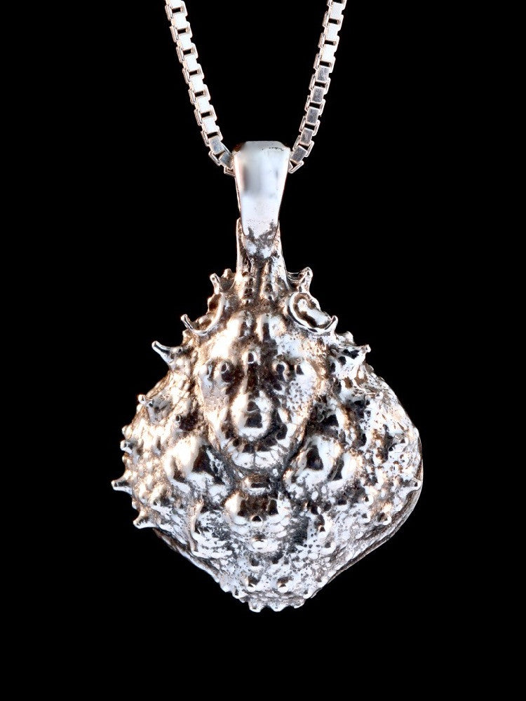 Life Casting Mexican Crab Carapace in Silver