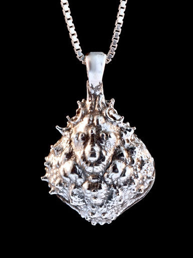 Life Casting - Mexican Crab Carapace Charm - Silver