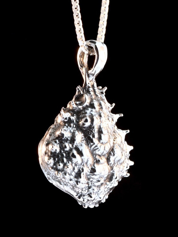 Life Casting Mexican Crab Carapace in Silver