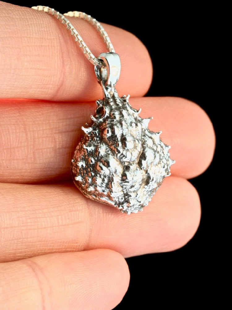 Life Casting Mexican Crab Carapace in Silver