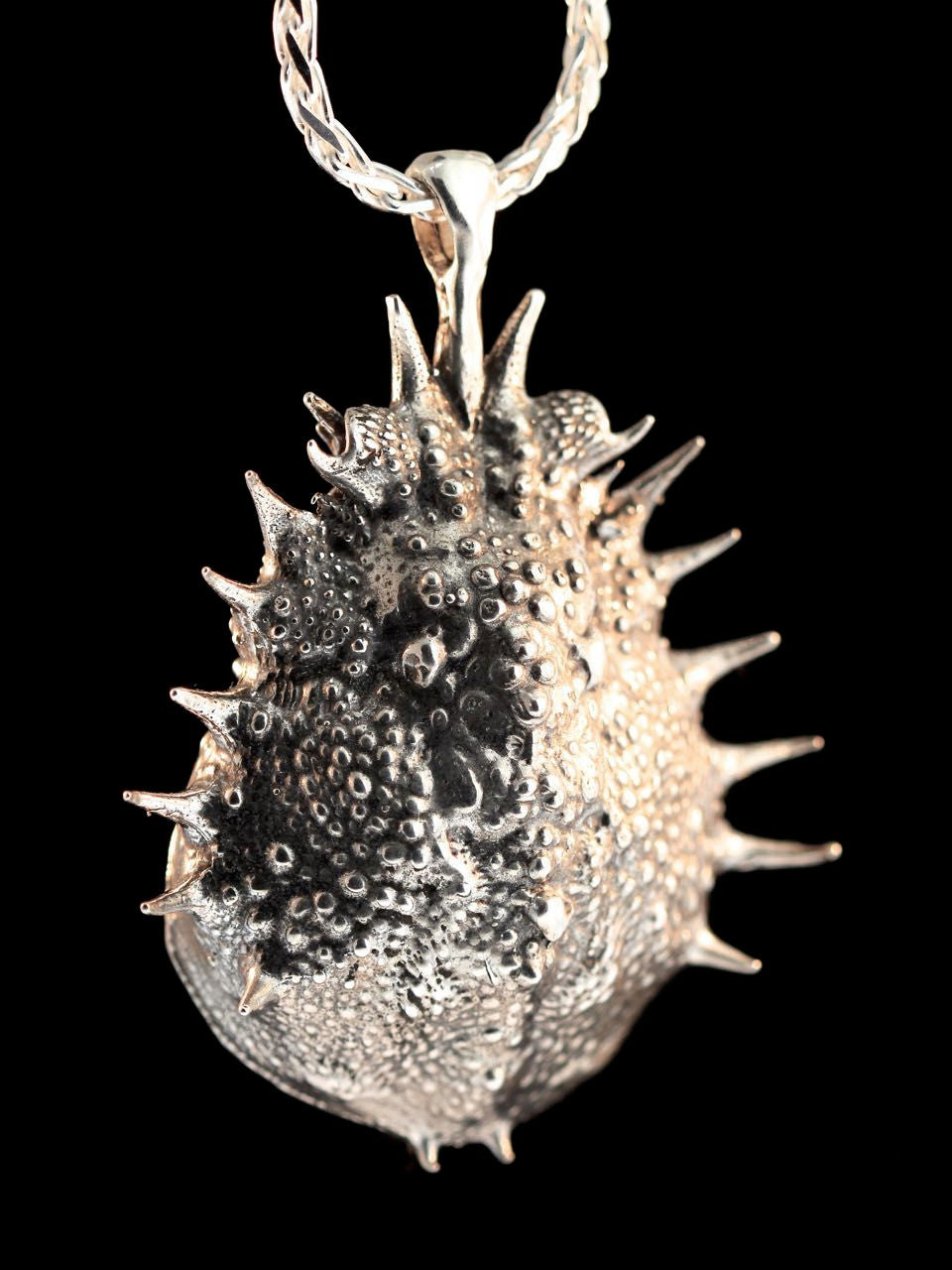 Horseshoe Crab Carapace Amulet -Silver