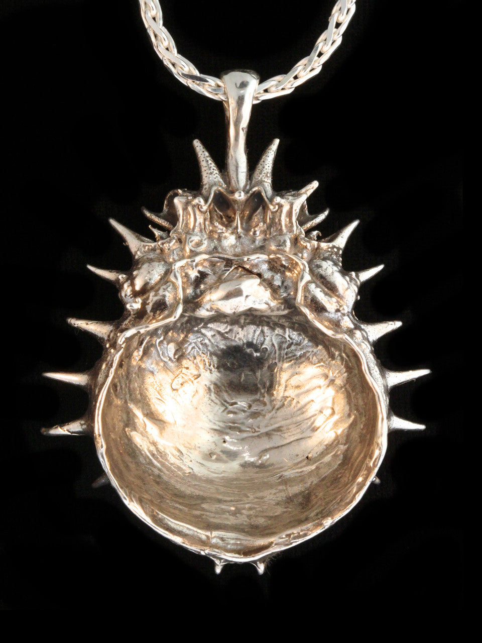 Horseshoe Crab Carapace Amulet -Silver