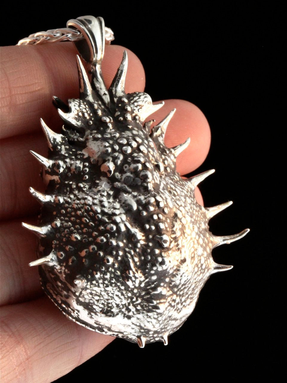 Life Casting - Adriatic Spider Crab Carapace Amulet - Silver