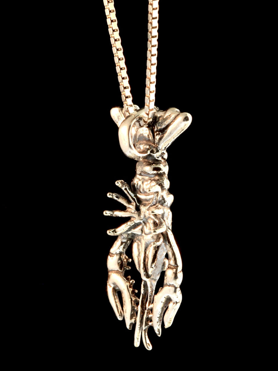 Crawfish, Crayfish, Crawdad or Lobster? - Silver