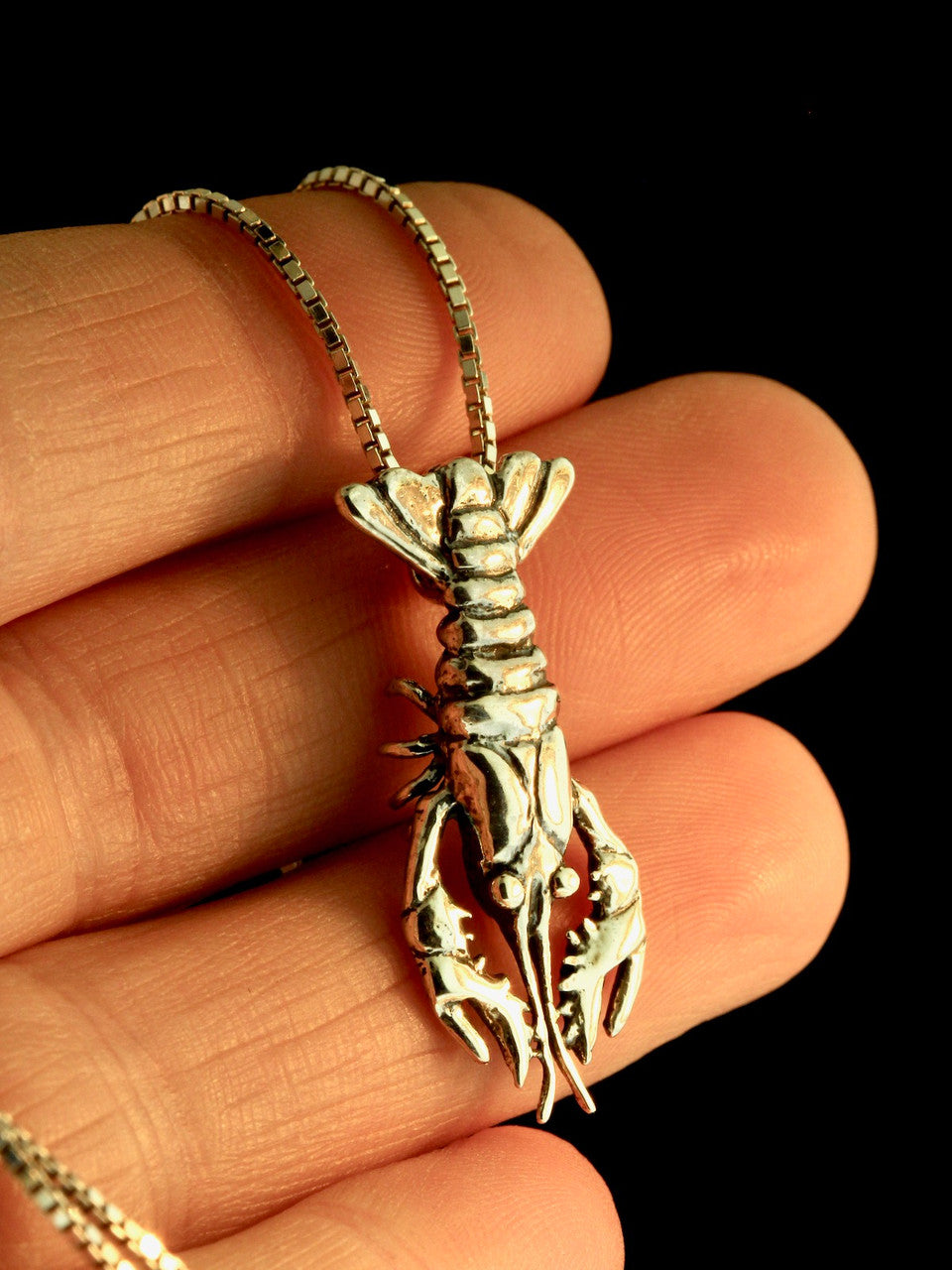 Crawfish, Crayfish, Crawdad or Lobster? - Silver