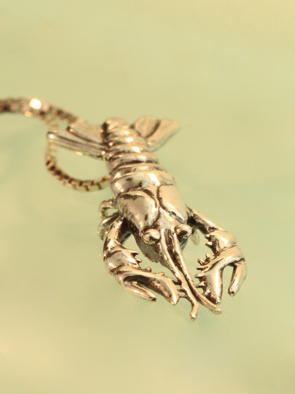 Crawfish, Crayfish, Crawdad or Lobster? 14K gold