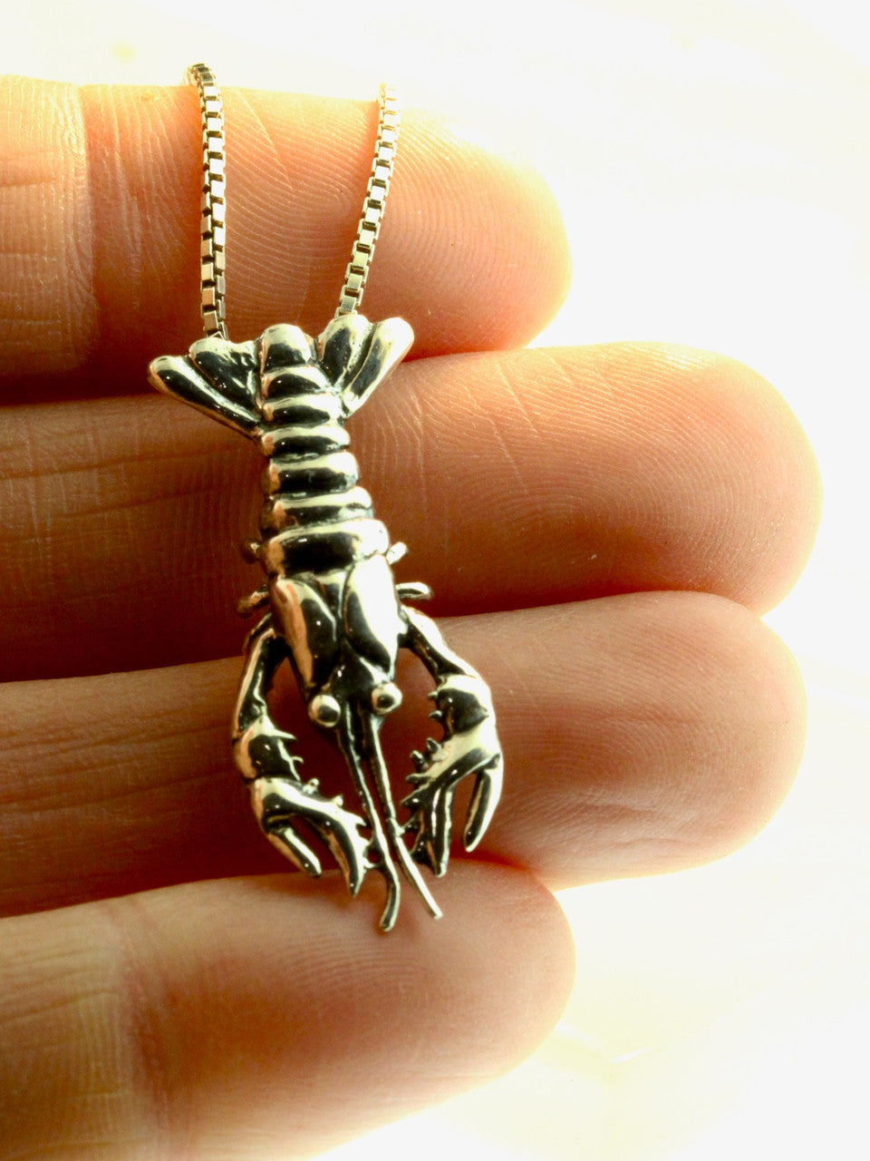 Crawfish, Crayfish, Crawdad or Lobster? Silver