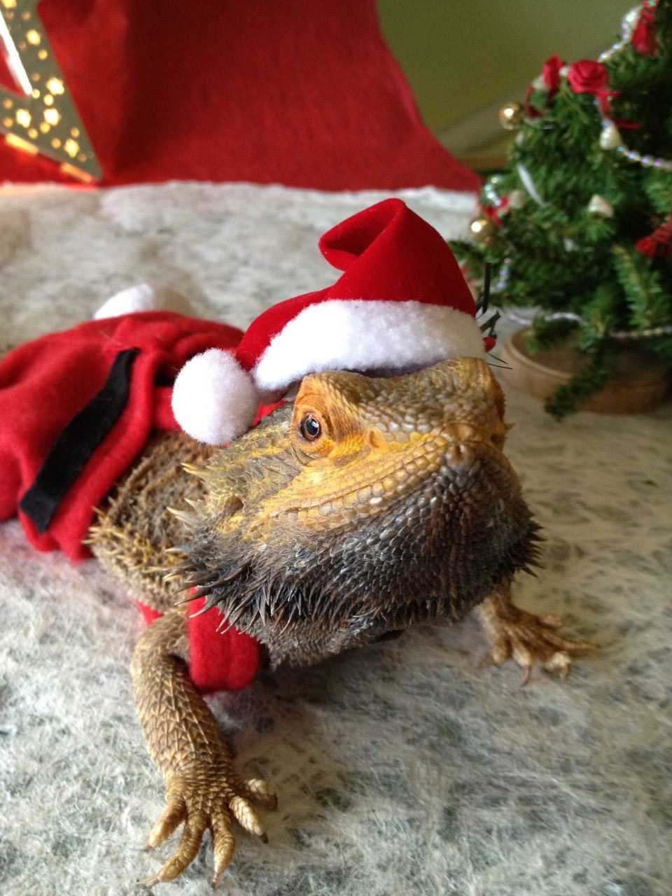Holiday Discount Codes - December 2014