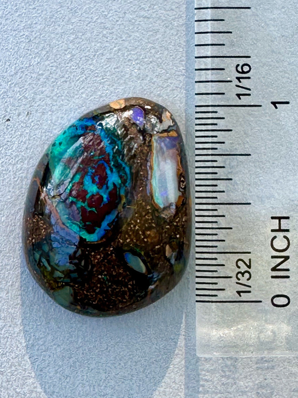 Dingo Oasis - Australian Koroit Opal - 52 ct
