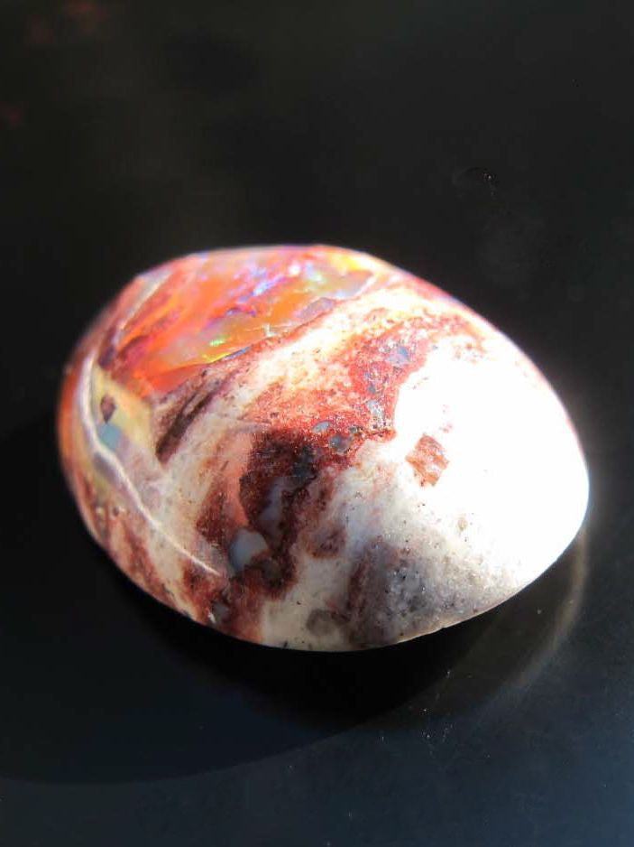 Dino Spawn- Matrix Opal, 14 ct