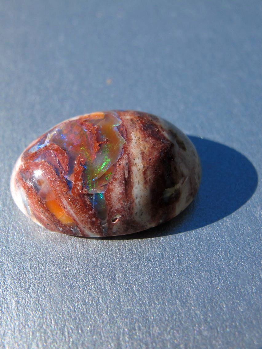 Dino Spawn- Matrix Opal, 14 ct