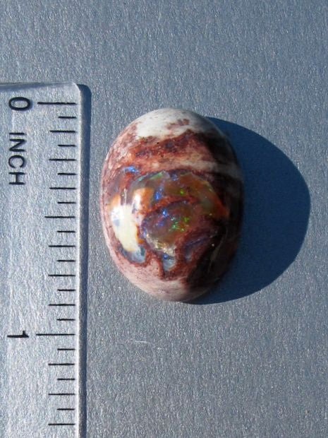 Dino Spawn- Matrix Opal, 14 ct