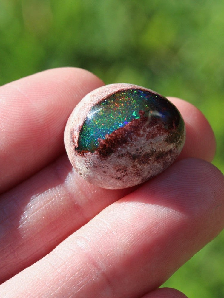 Dragon's Eye - Mexican Matrix Fire Opal - 22 ct