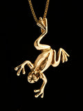 Medium Enchanted Frog Pendant - Solid 14k Gold