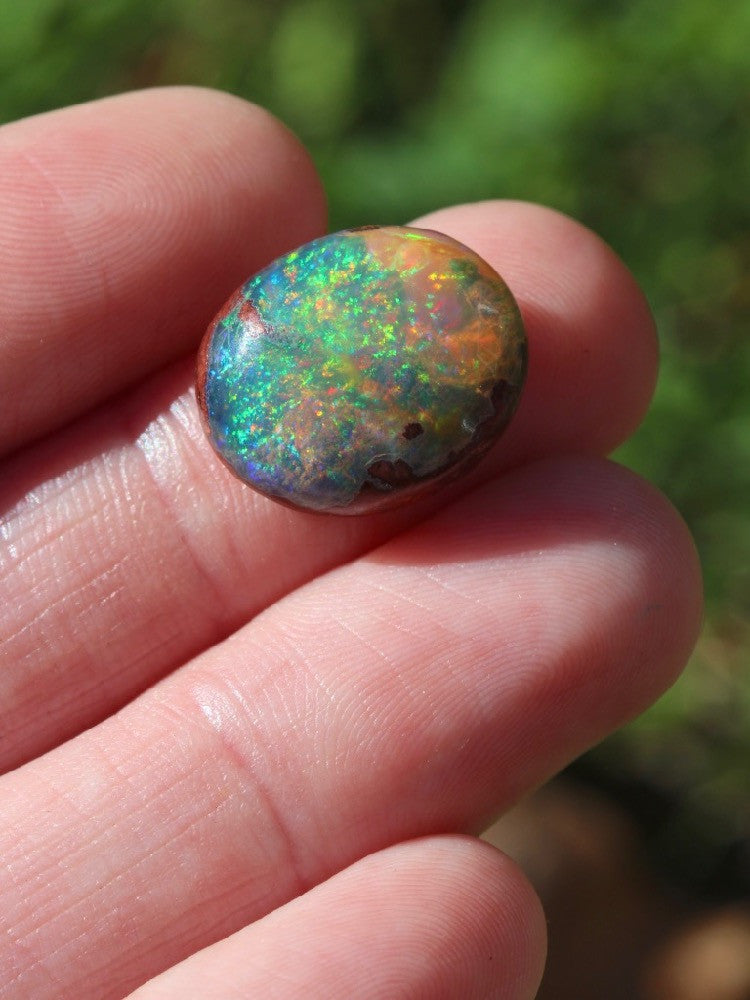 Fathom - Mexican Matrix Fire Opal - 11 ct