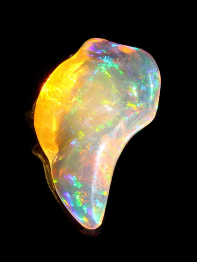 Fire Hawk - Mexican Fire Opal - 14.5 ct