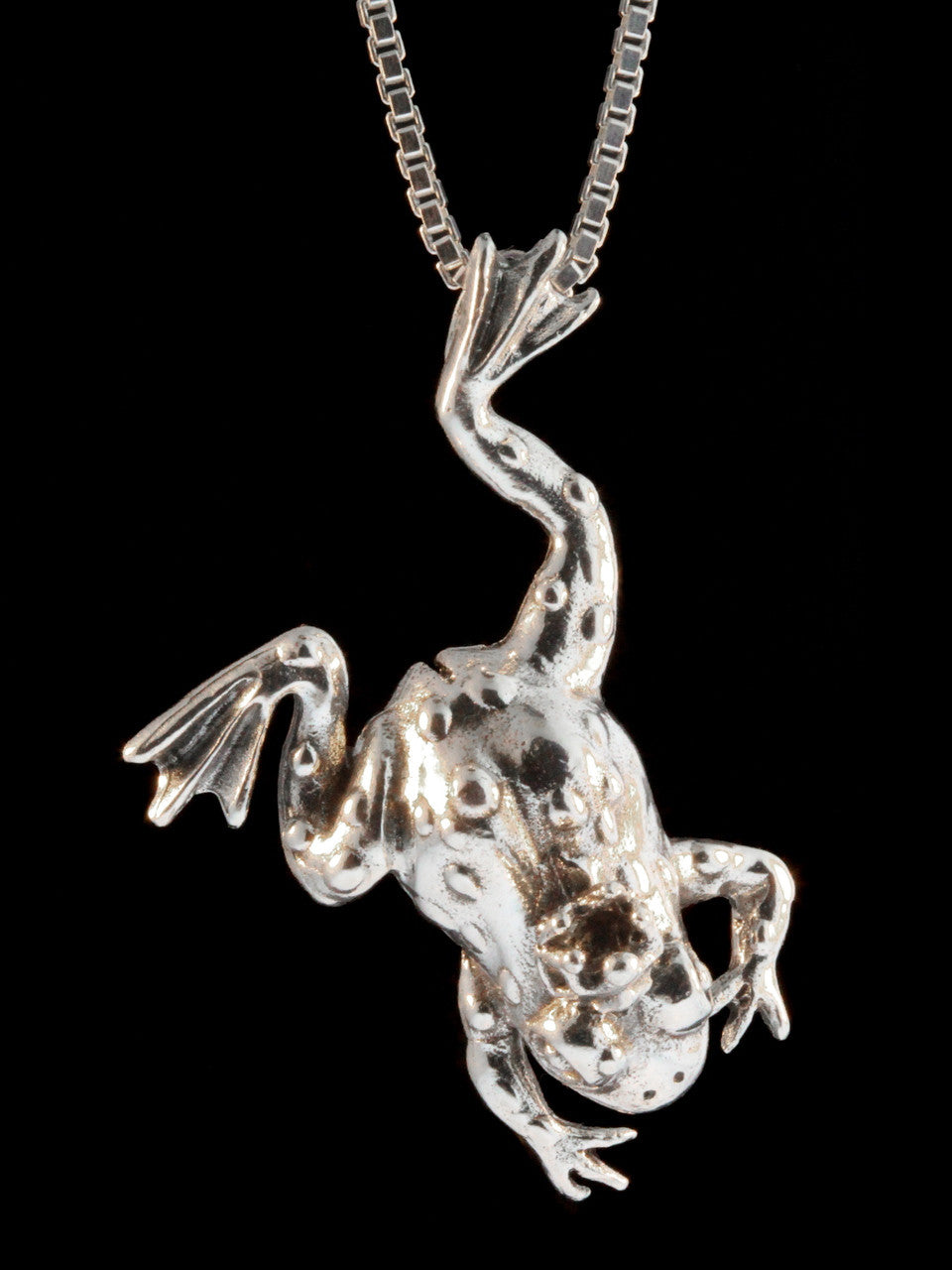 Enchanted Frog Pendant - Sterling Silver