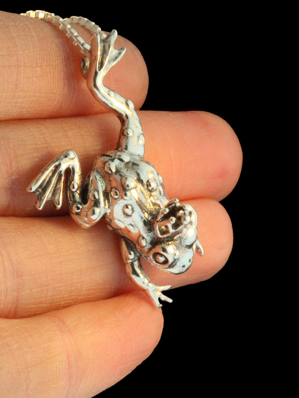 Enchanted Frog Pendant - Sterling Silver