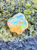 Fyre and Ice - Mexican Fire Opal - 9.2 Ct
