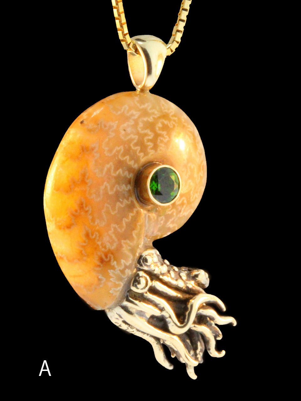 Fossilized Ammonite Nautilus Necklace w/Chrome Diopside
