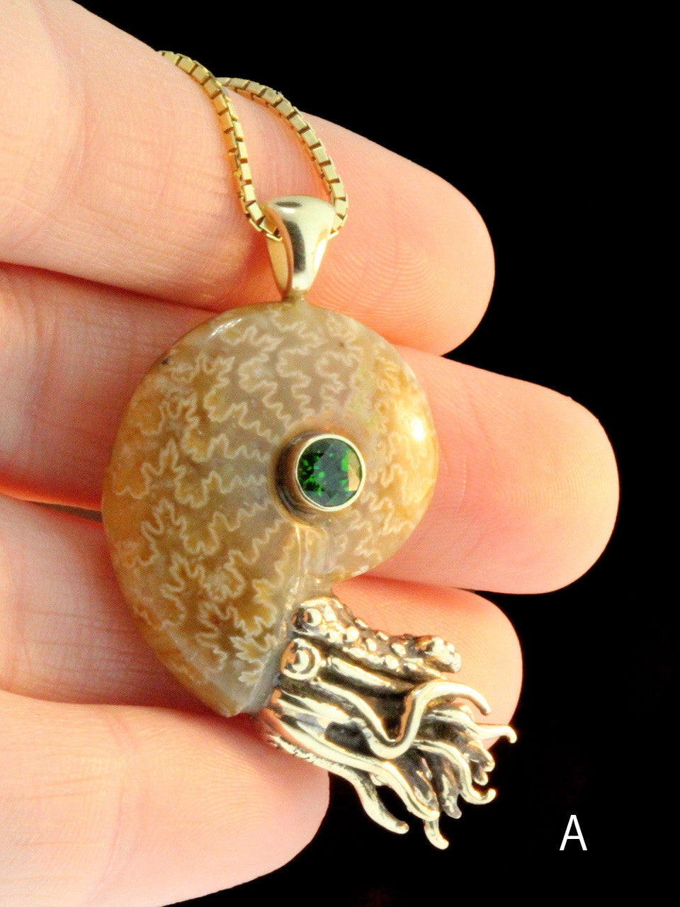 Fossilized Ammonite Nautilus Necklace w/Chrome Diopside