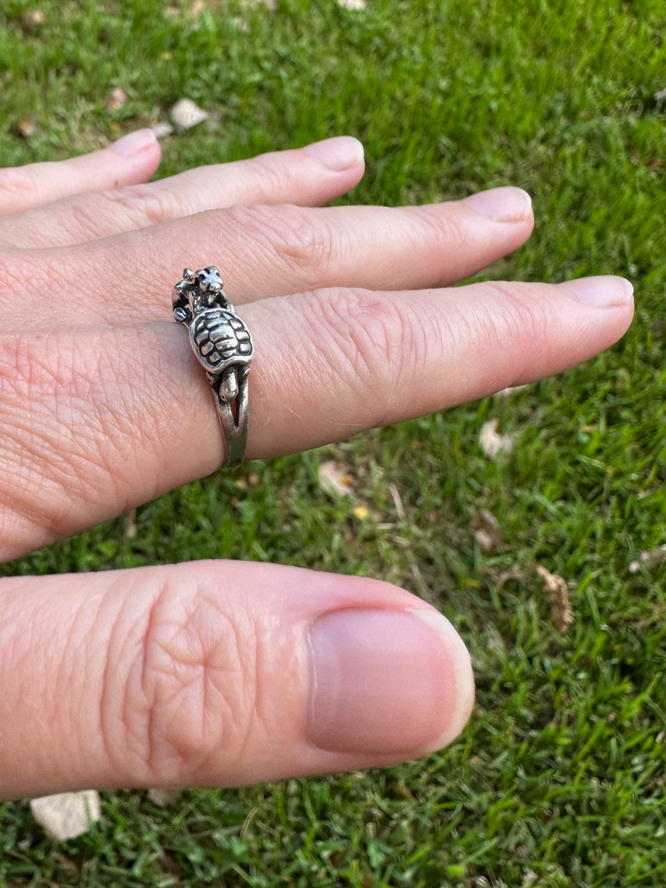 Hare and Tortoise Ring - Silver