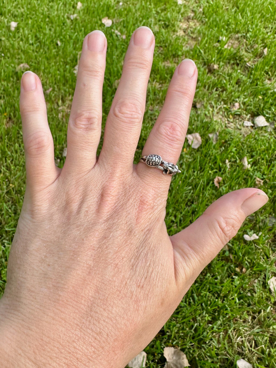 Hare and Tortoise Ring - Silver