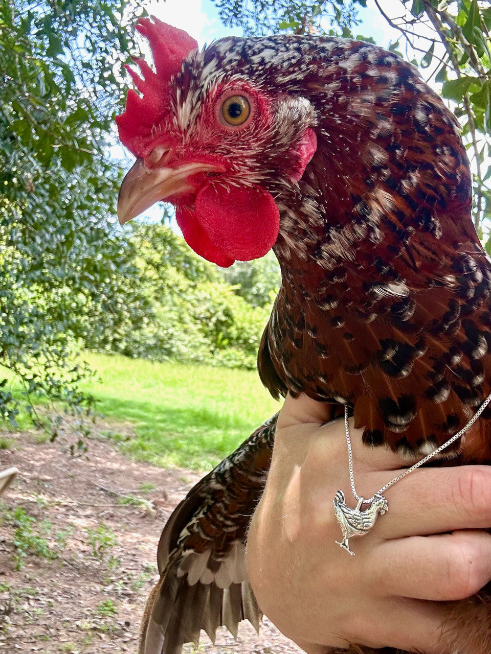 Hen Charm - Silver