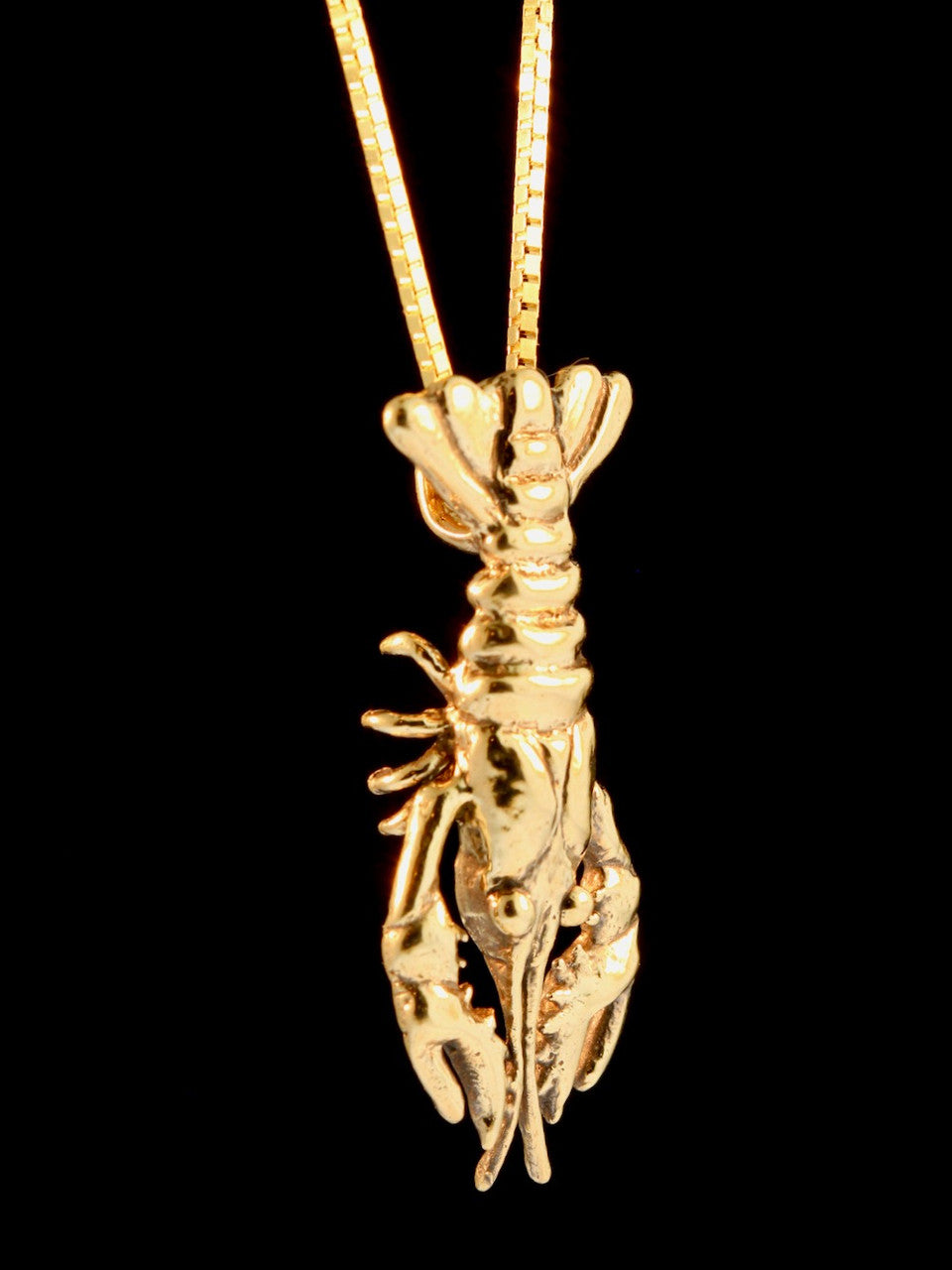 Crawfish, Crayfish or Crawdad or Lobster? - 14k Gold