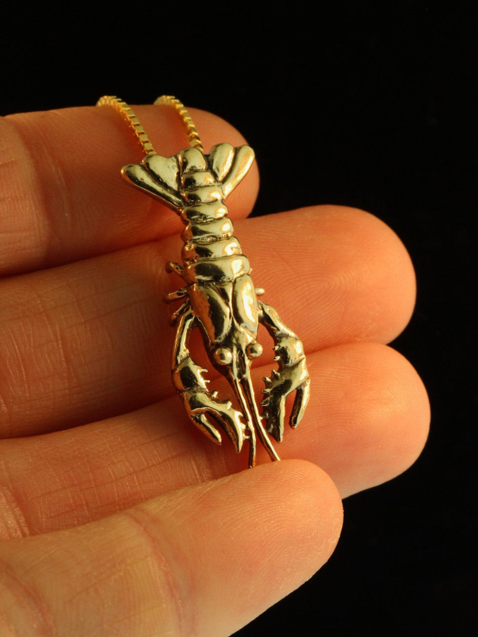 Crawfish, Crayfish or Crawdad or Lobster? - 14k Gold