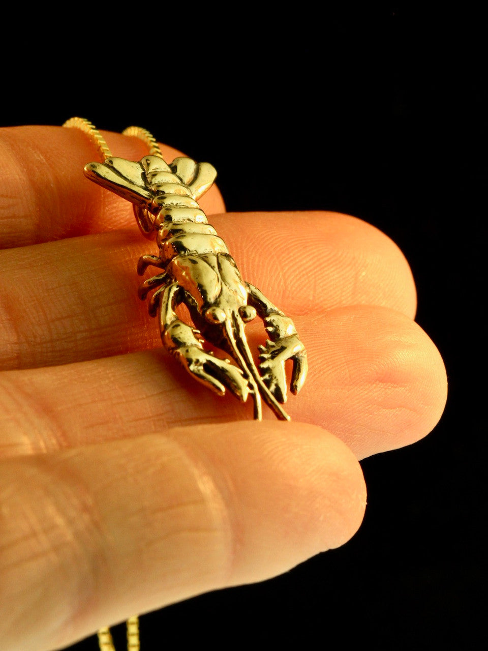 Crawfish, Crayfish or Crawdad or Lobster? - 14k Gold